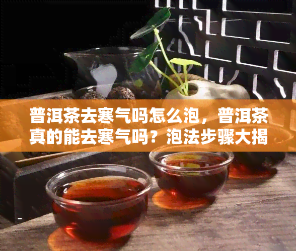 普洱茶去寒气吗怎么泡，普洱茶真的能去寒气吗？泡法步骤大揭秘！