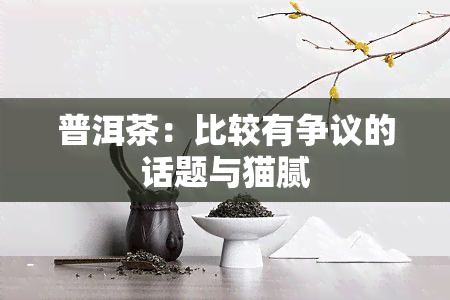 普洱茶：比较有争议的话题与猫腻