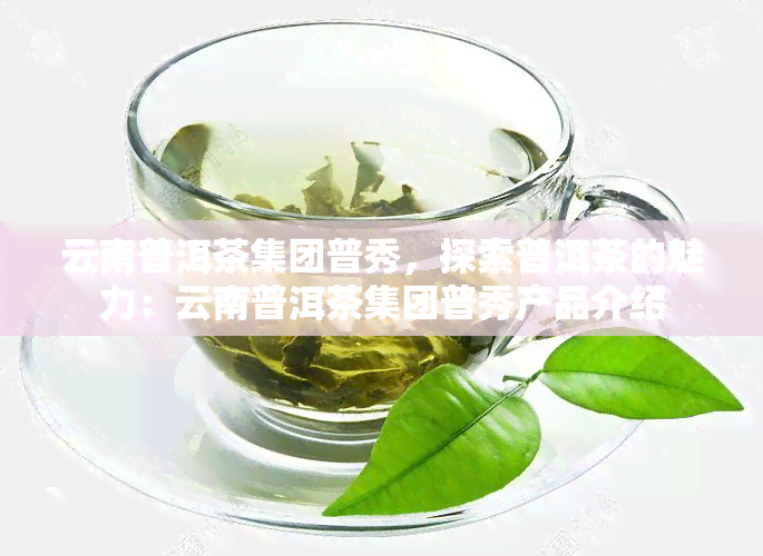 云南普洱茶集团普秀，探索普洱茶的魅力：云南普洱茶集团普秀产品介绍