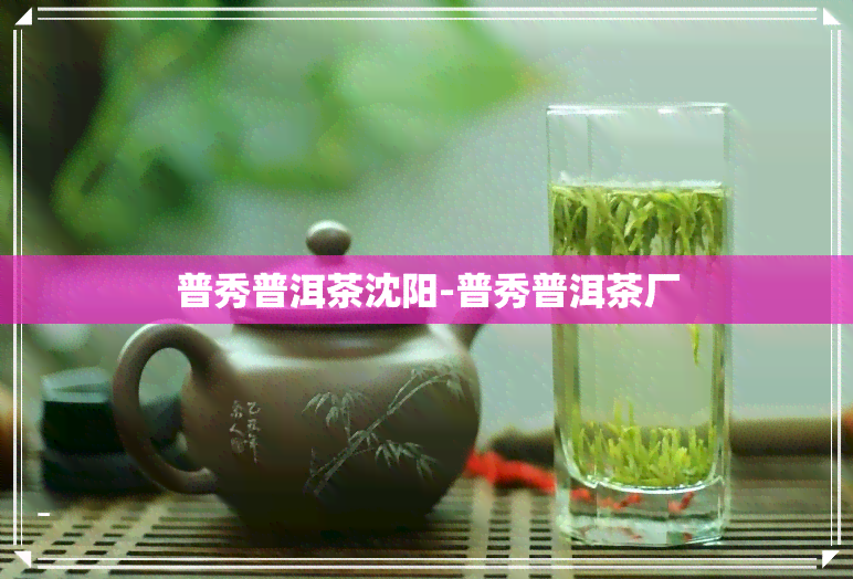 普秀普洱茶沈阳-普秀普洱茶厂