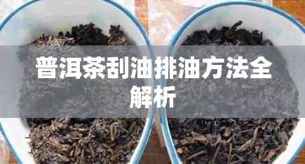 普洱茶刮油排油方法全解析