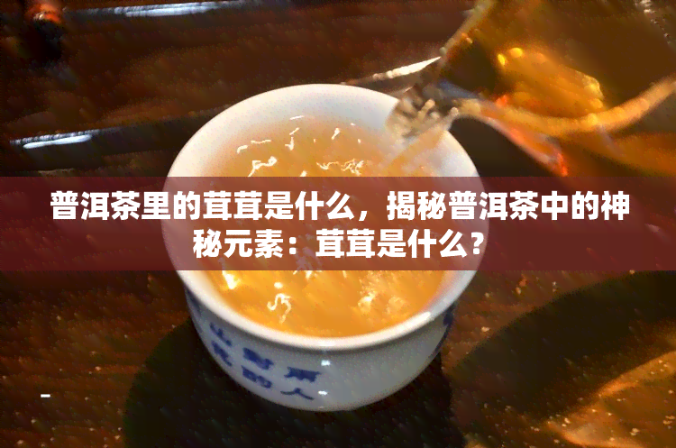 普洱茶里的茸茸是什么，揭秘普洱茶中的神秘元素：茸茸是什么？