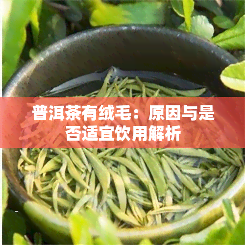 普洱茶有绒毛：原因与是否适宜饮用解析