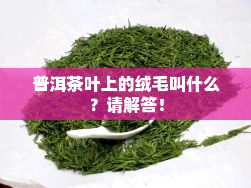 普洱茶叶上的绒毛叫什么？请解答！