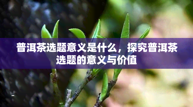 普洱茶选题意义是什么，探究普洱茶选题的意义与价值