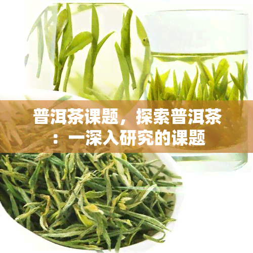 普洱茶课题，探索普洱茶：一深入研究的课题