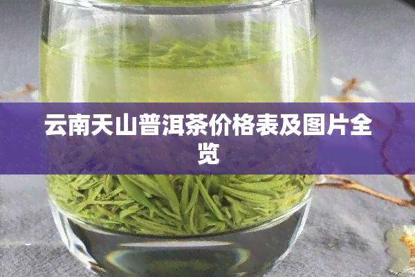 云南天山普洱茶价格表及图片全览