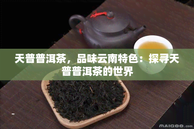 天普普洱茶，品味云南特色：探寻天普普洱茶的世界