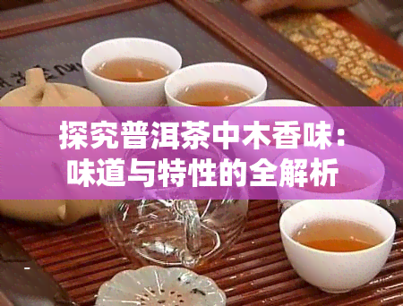 探究普洱茶中木香味：味道与特性的全解析