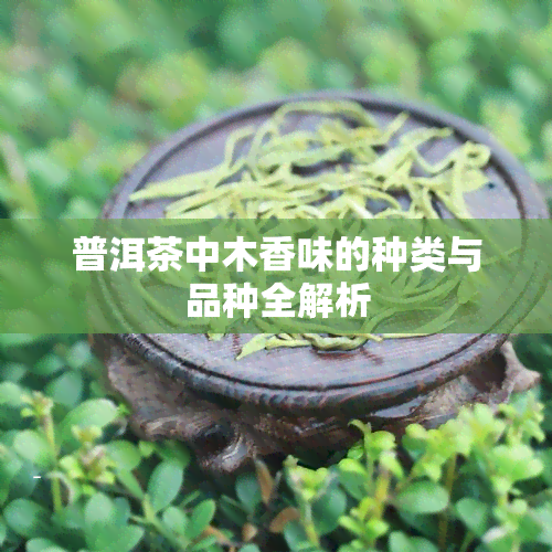 普洱茶中木香味的种类与品种全解析