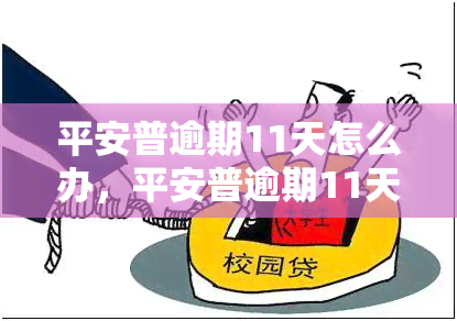 平安普逾期11天怎么办，平安普逾期11天，如何解决？