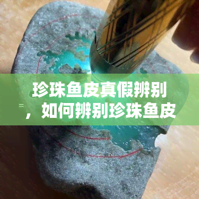 珍珠皮真假辨别，如何辨别珍珠皮的真伪？