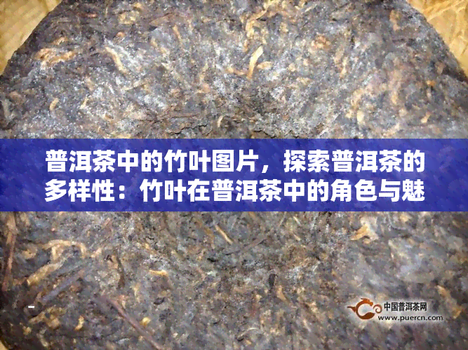 普洱茶中的竹叶图片，探索普洱茶的多样性：竹叶在普洱茶中的角色与魅力