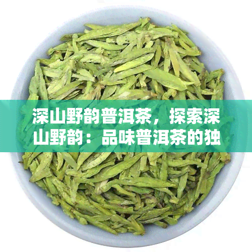 深山野韵普洱茶，探索深山野韵：品味普洱茶的独特魅力