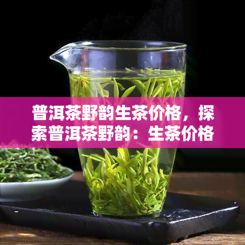 普洱茶野韵生茶价格，探索普洱茶野韵：生茶价格解析与选购指南