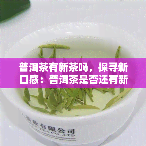 普洱茶有新茶吗，探寻新口感：普洱茶是否还有新品推出？