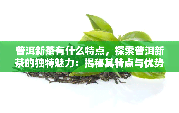 普洱新茶有什么特点，探索普洱新茶的独特魅力：揭秘其特点与优势