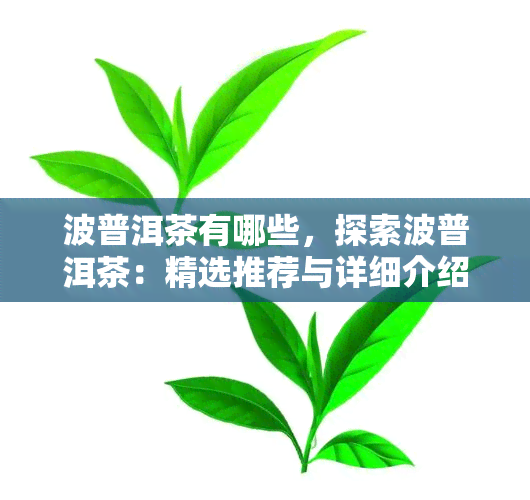 波普洱茶有哪些，探索波普洱茶：精选推荐与详细介绍