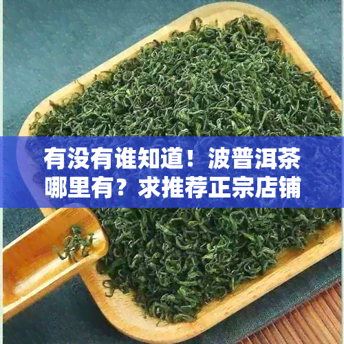 有没有谁知道！波普洱茶哪里有？求推荐正宗店铺