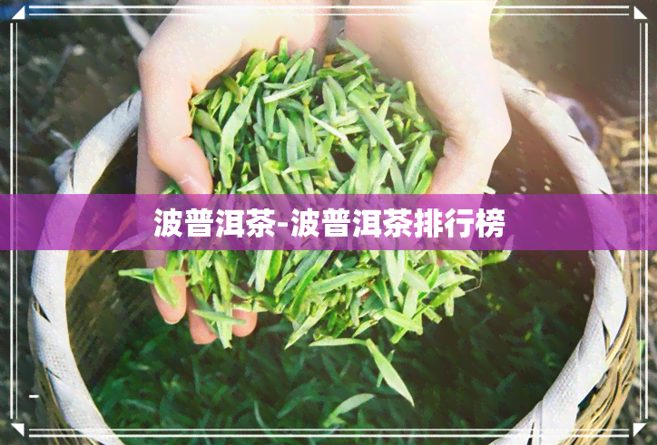 波普洱茶-波普洱茶排行榜