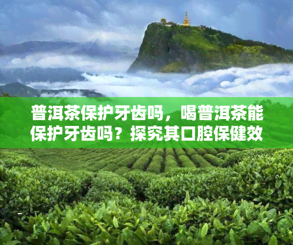 普洱茶保护牙齿吗，喝普洱茶能保护牙齿吗？探究其口腔保健效果