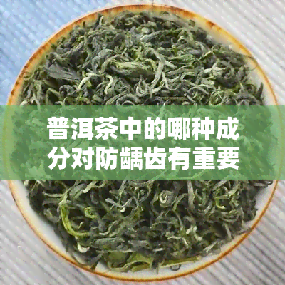 普洱茶中的哪种成分对防龋齿有重要作用？