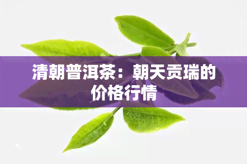 清朝普洱茶：朝天贡瑞的价格行情