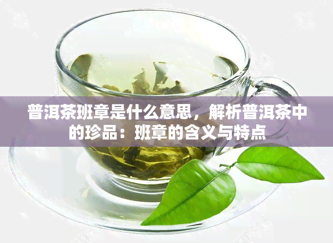 普洱茶班章是什么意思，解析普洱茶中的珍品：班章的含义与特点