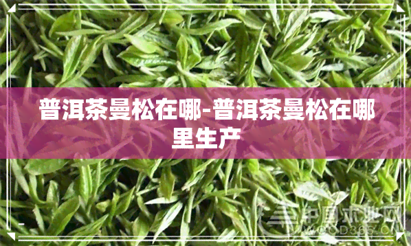 普洱茶曼松在哪-普洱茶曼松在哪里生产