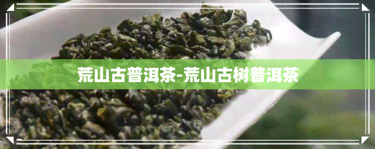 荒山古普洱茶-荒山古树普洱茶