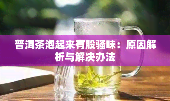 普洱茶泡起来有股骚味：原因解析与解决办法