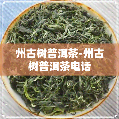 州古树普洱茶-州古树普洱茶电话