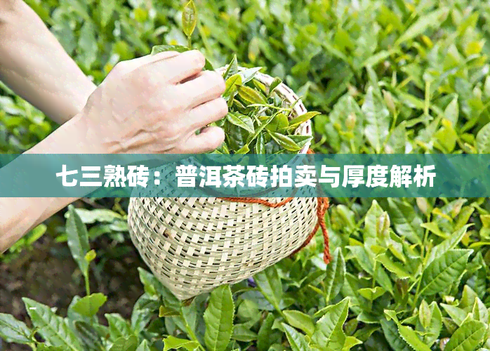 七三熟砖：普洱茶砖拍卖与厚度解析