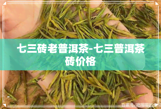 七三砖老普洱茶-七三普洱茶砖价格