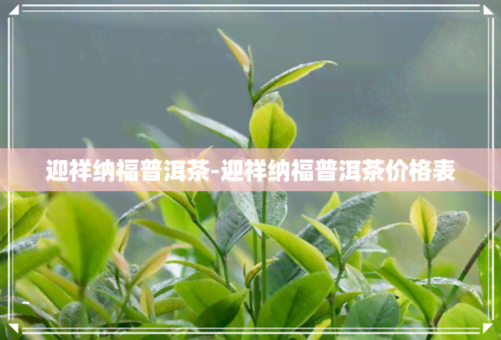 迎祥纳福普洱茶-迎祥纳福普洱茶价格表