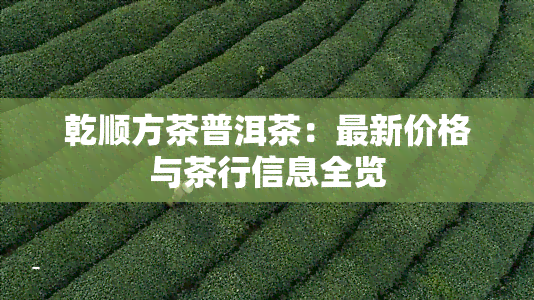 乾顺方茶普洱茶：最新价格与茶行信息全览