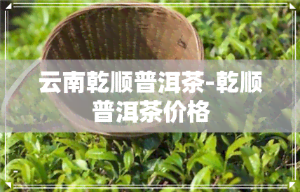 云南乾顺普洱茶-乾顺普洱茶价格