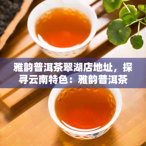 雅韵普洱茶翠湖店地址，探寻云南特色：雅韵普洱茶翠湖店地址解析