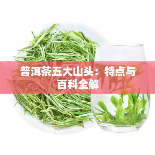 普洱茶五大山头：特点与百科全解