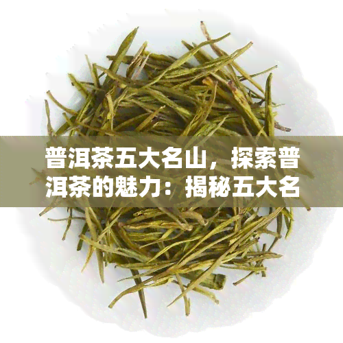 普洱茶五大名山，探索普洱茶的魅力：揭秘五大名山的传说与风味