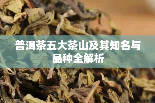 普洱茶五大茶山及其知名与品种全解析