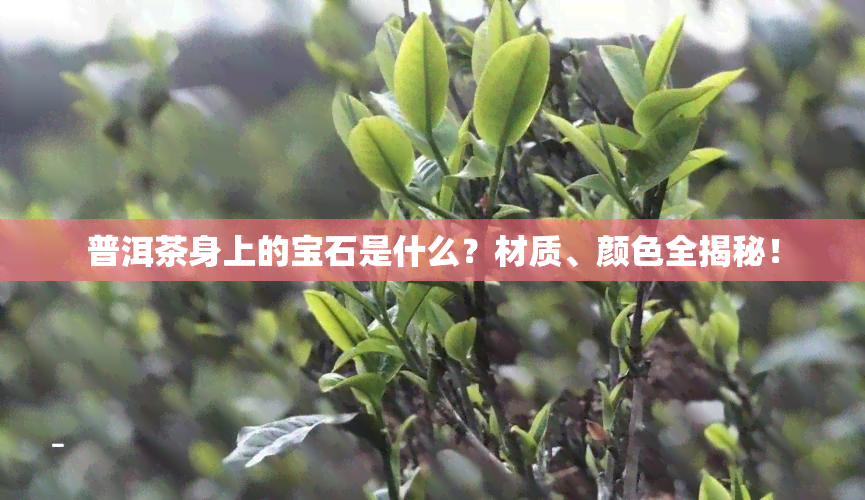 普洱茶身上的宝石是什么？材质、颜色全揭秘！