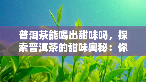 普洱茶能喝出甜味吗，探索普洱茶的甜味奥秘：你是否也能品尝到？