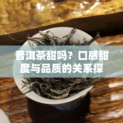 普洱茶甜吗？口感甜度与品质的关系探讨