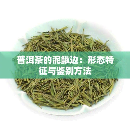 普洱茶的泥鳅边：形态特征与鉴别方法