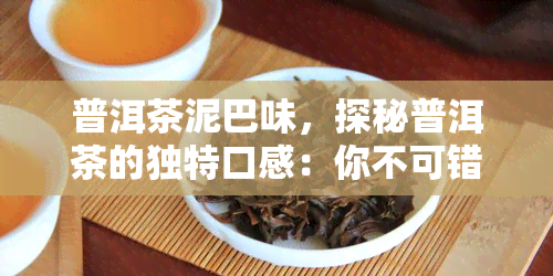 普洱茶泥巴味，探秘普洱茶的独特口感：你不可错过的泥巴味体验