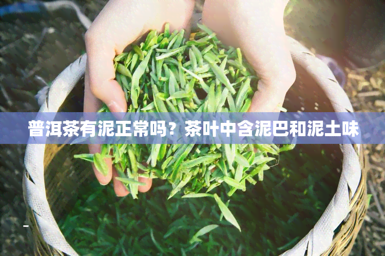 普洱茶有泥正常吗？茶叶中含泥巴和泥土味