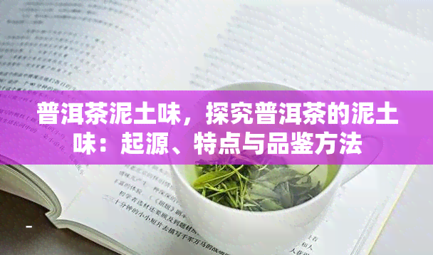 普洱茶泥土味，探究普洱茶的泥土味：起源、特点与品鉴方法