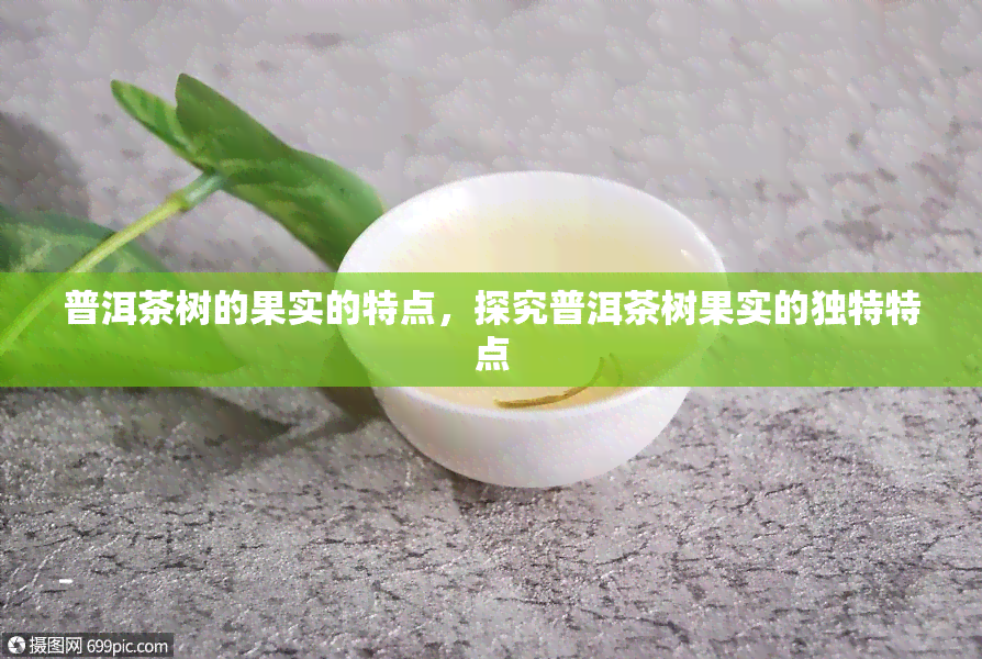 普洱茶树的果实的特点，探究普洱茶树果实的独特特点