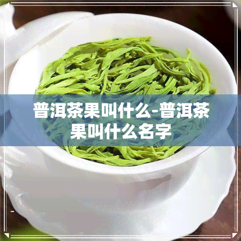 普洱茶果叫什么-普洱茶果叫什么名字